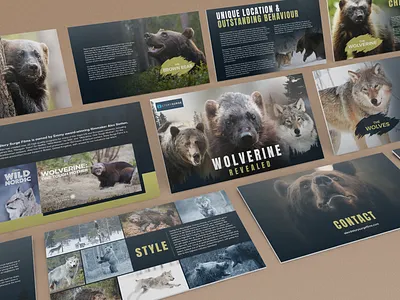 Wolverine Revealed | Film Pitch Deck 3d adobe photoshop animal deck animation bear cinema cinematic creative presentation design film film pitch deck graphic design movie movie deck pitch deck pitch deck design powerpoint presentation series pitch slides thriller