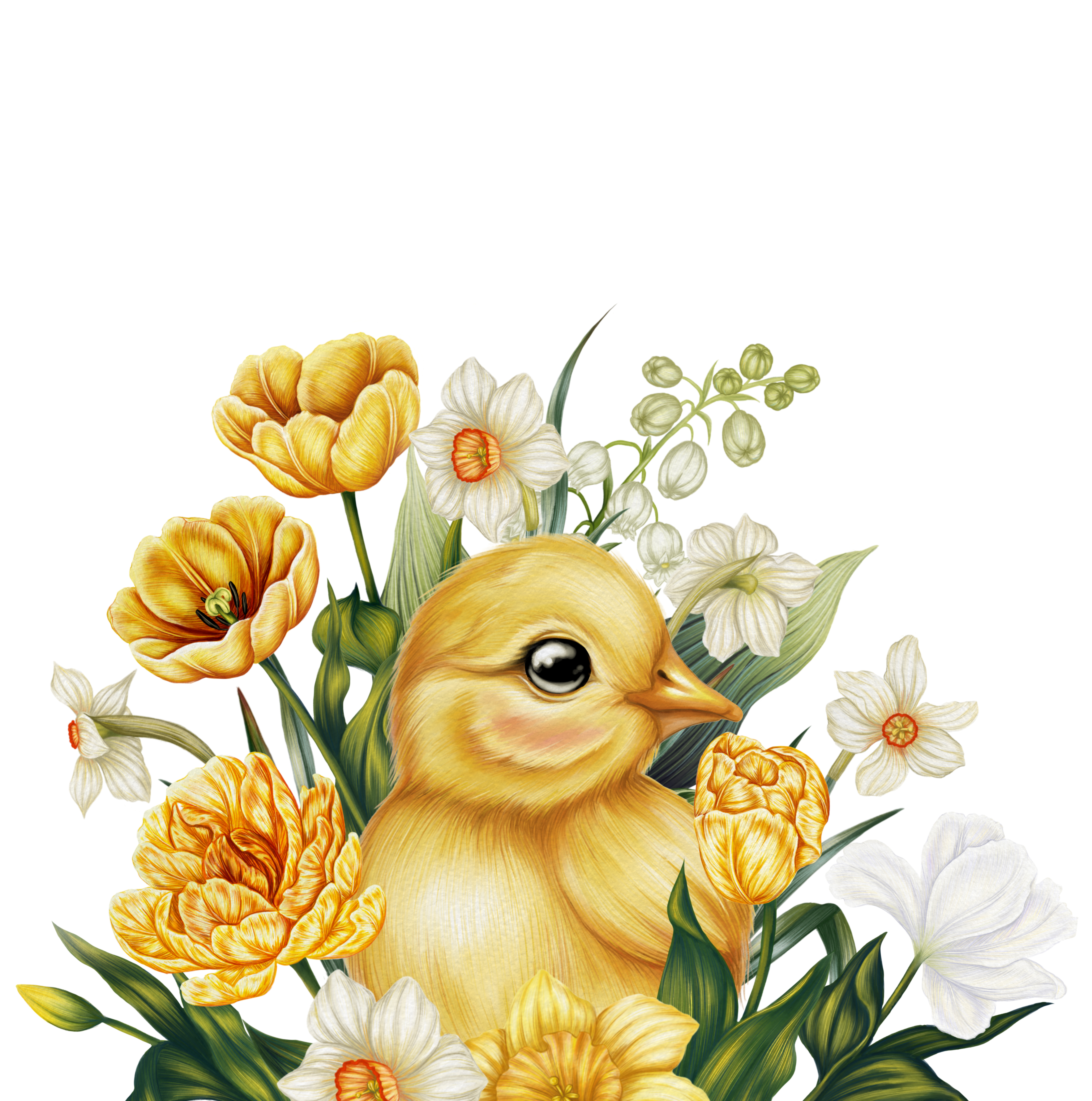 Easter botanical print for a greeting card 2d artist art book illustration botanical card character design childrens illustration digital art digital illustration drawing graphic design illustration illustrator kidlit procreate