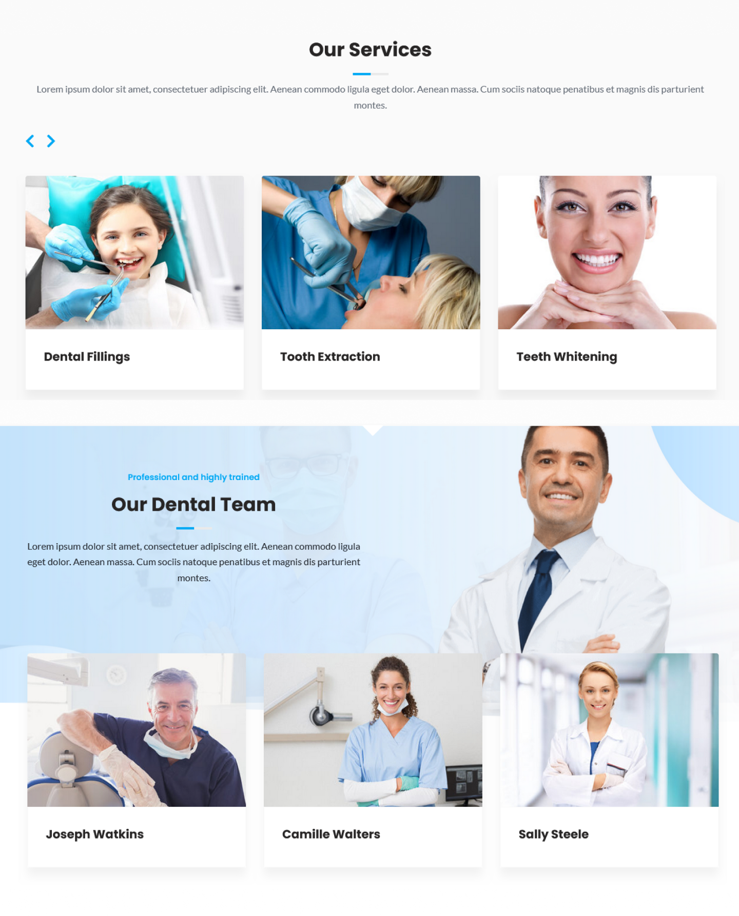 Example of Dental Clinic & Healthcare Web Design