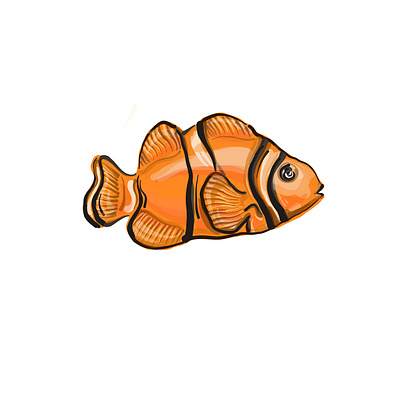 Fish orange fish