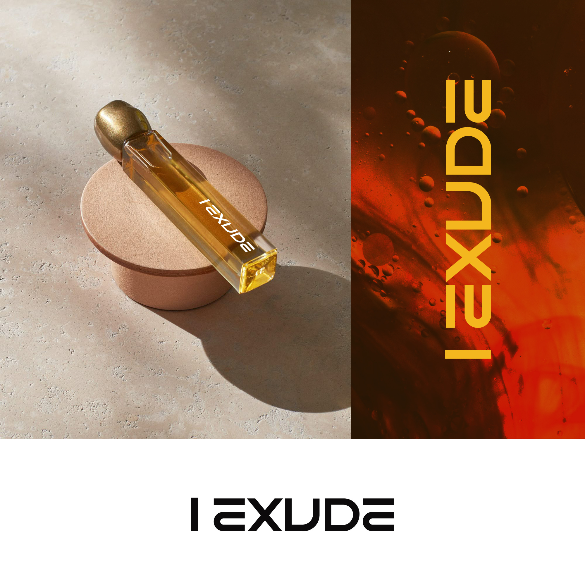 Premium body oil company branding beauty body business care company concept cosmetic design element graphic health icon illustration logo natural oil spa symbol template vector