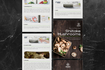 Brochure Manual - Mount Hope Organics (Canada) adobe design designer digital graphicdesign illustator indesign photoshop