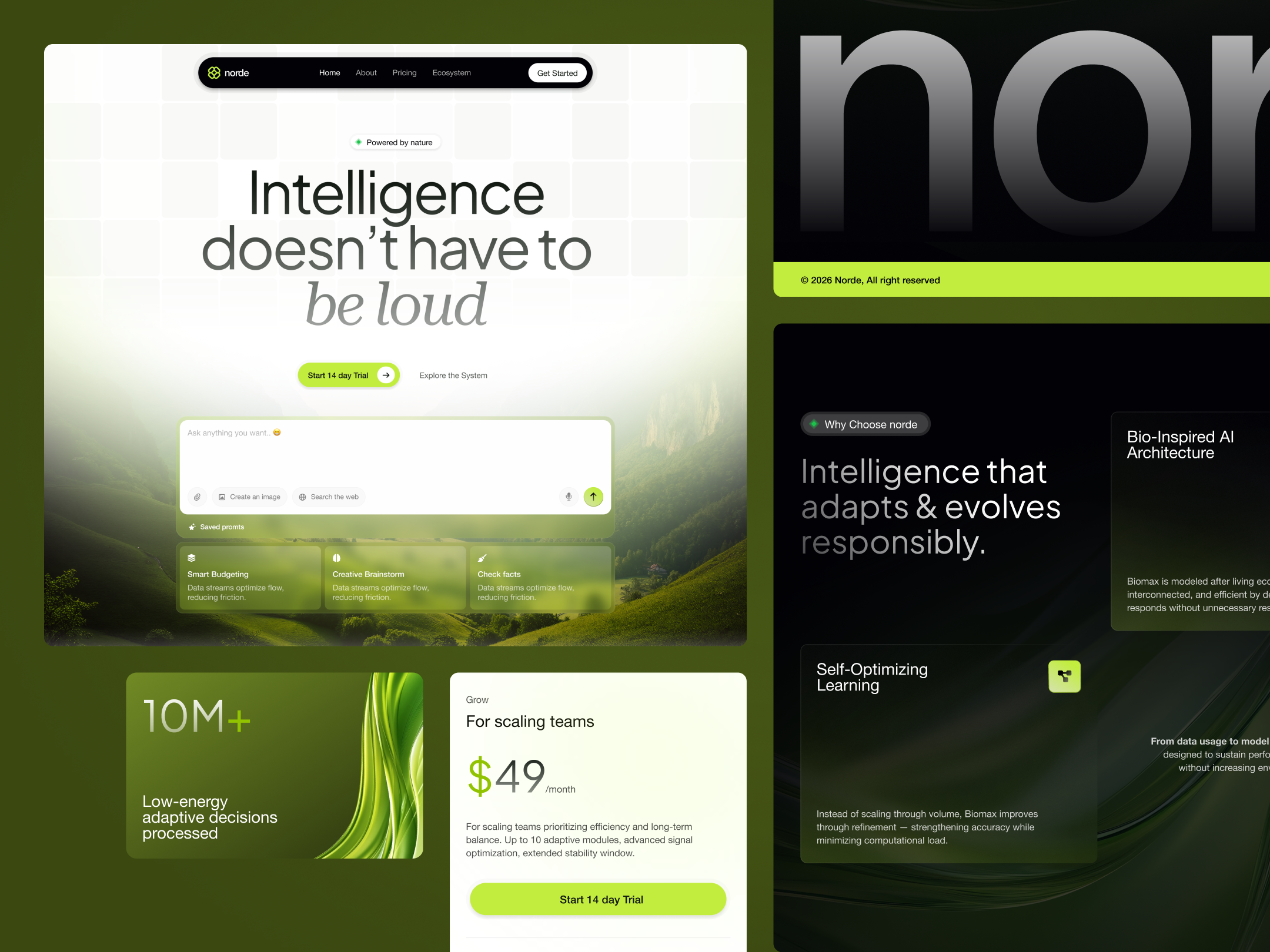 Norde: Sustainability-driven AI - Website Landing Page