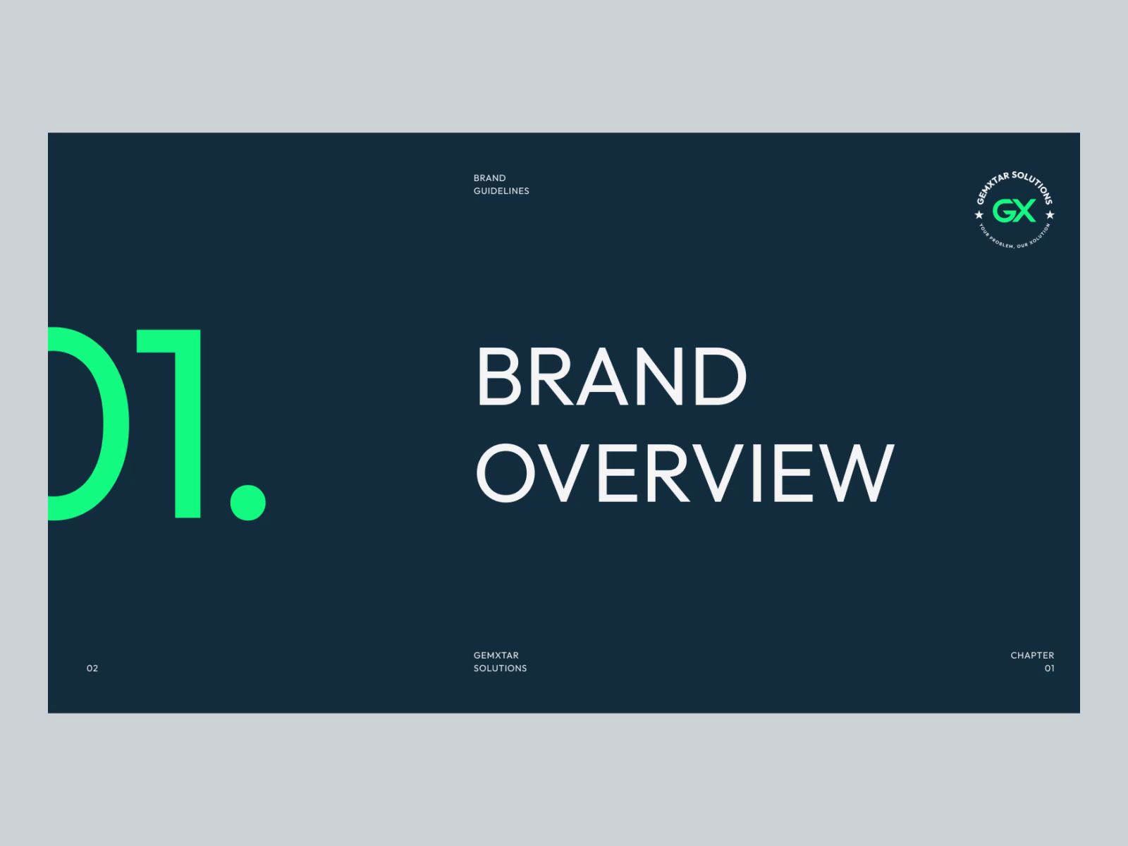 Example of Corporate Logo Identity & Style Guide