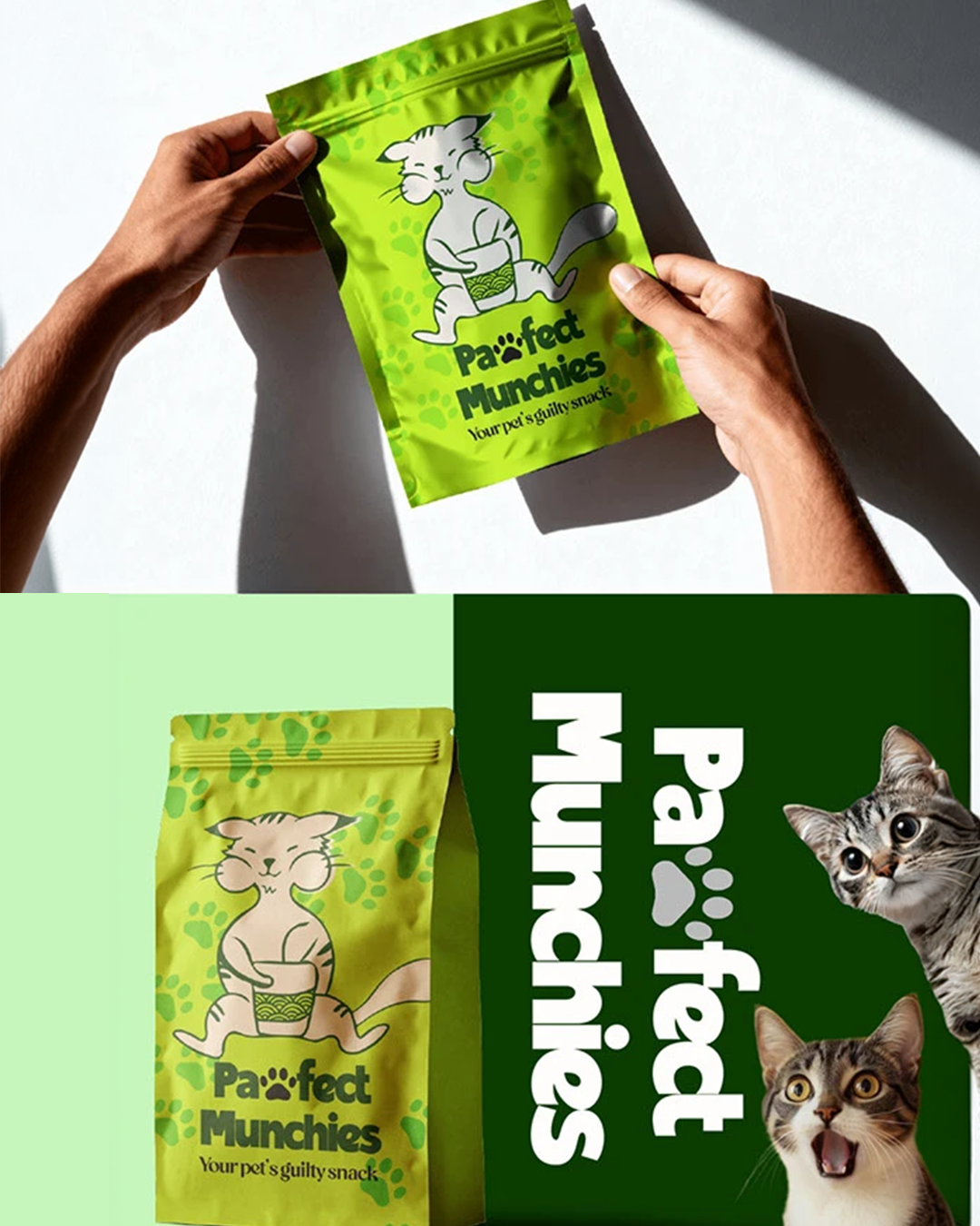 Let’s make your brand paw-some. 🐱 3d animation branding design graphic design graphics illustration logo motion graphics ui ux