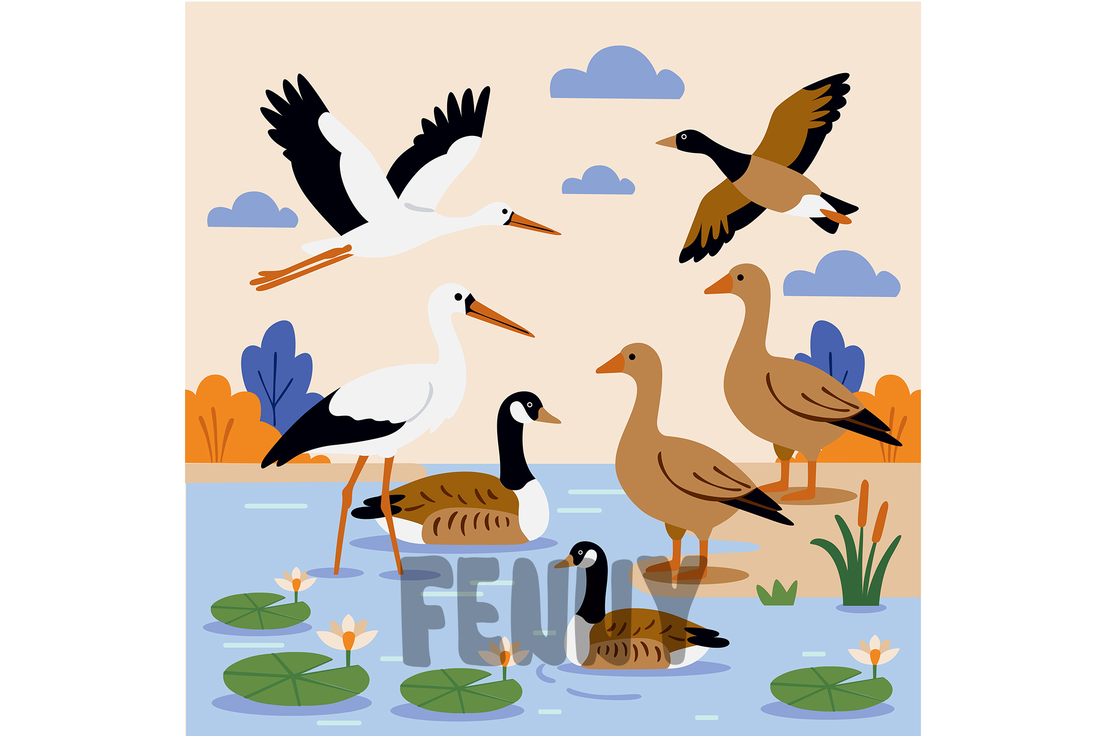 Illustration of Various Migratory Birds