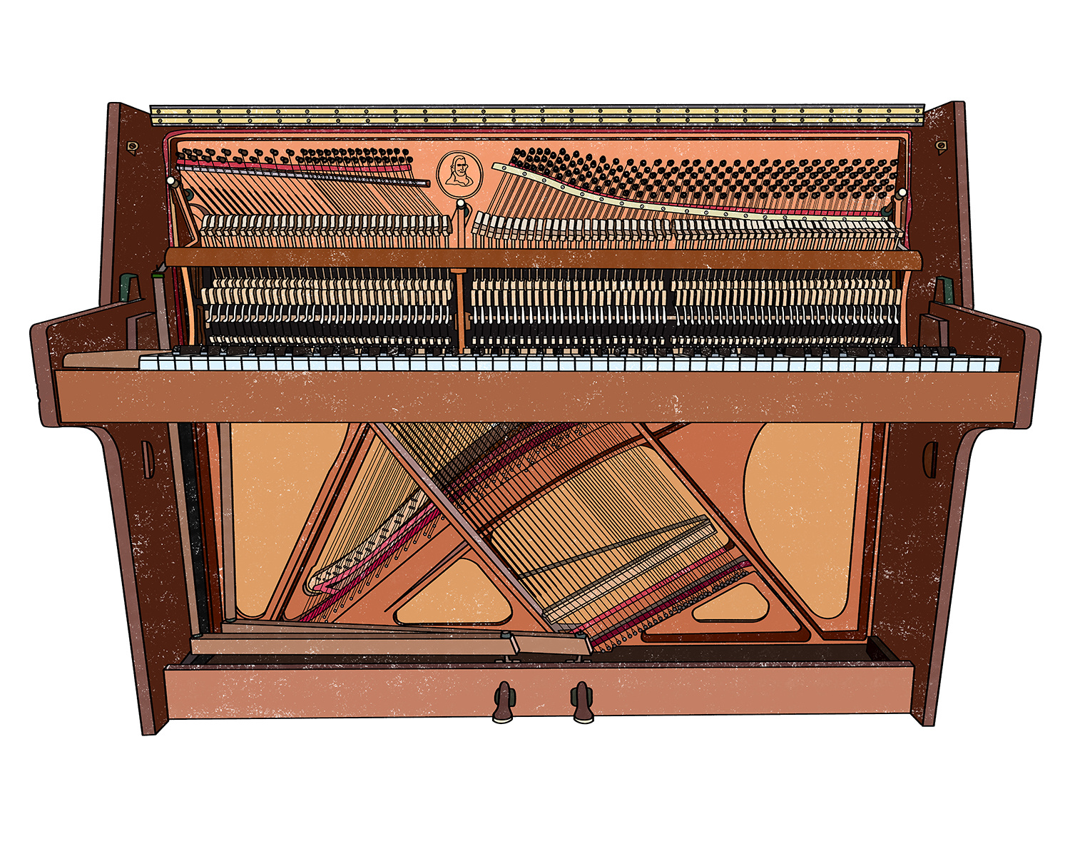 Sound Stories - Animated Illustration animation graphic design illustration motion graphics