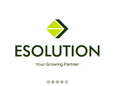 Logo Design & Simple Brand Guidelines | ESolution blockchain brand book brand development brand guidelines brand identity branding color palette design family font graphic design logo design logomark logotype startup typography vector visual identity