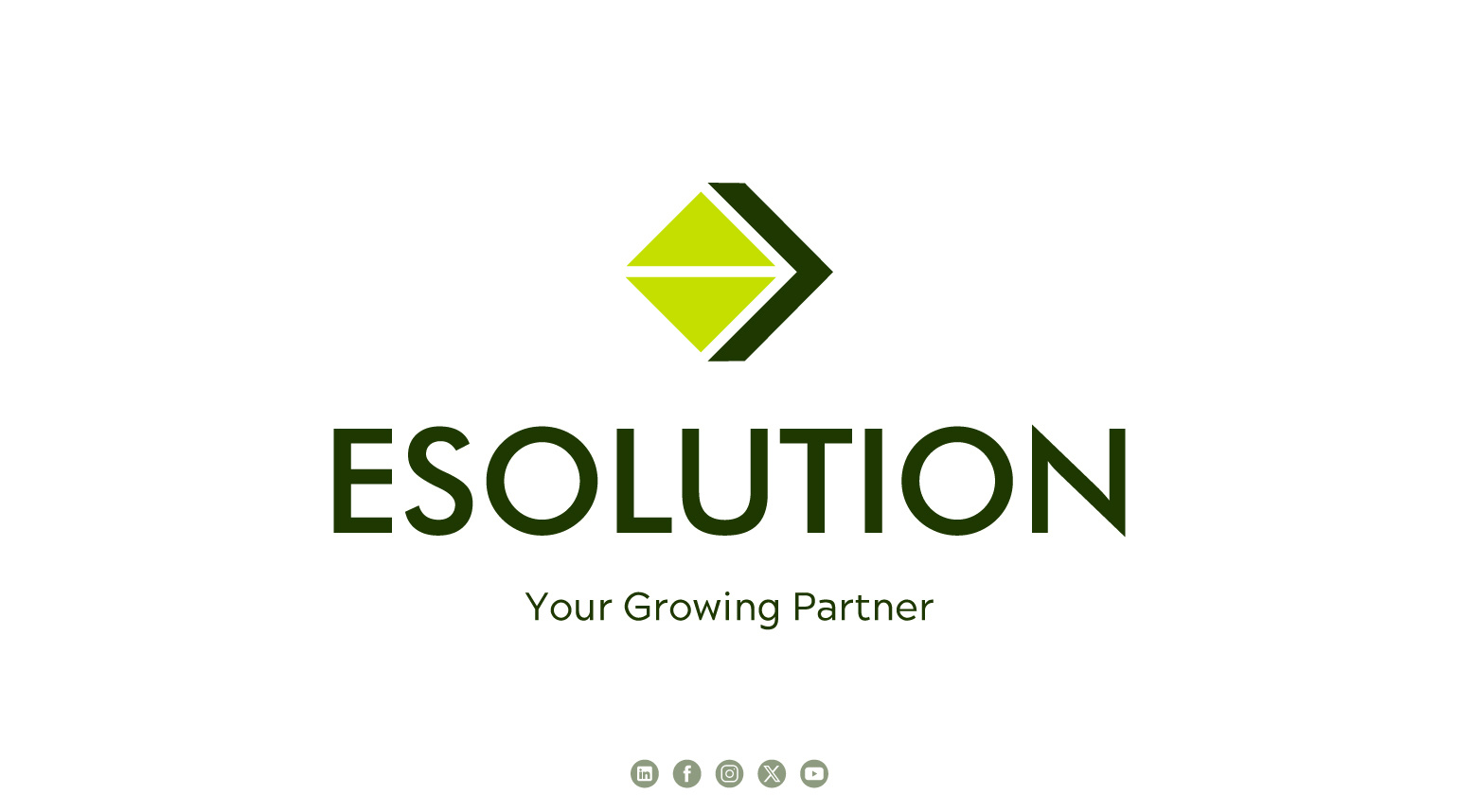Logo Design & Simple Brand Guidelines | ESolution