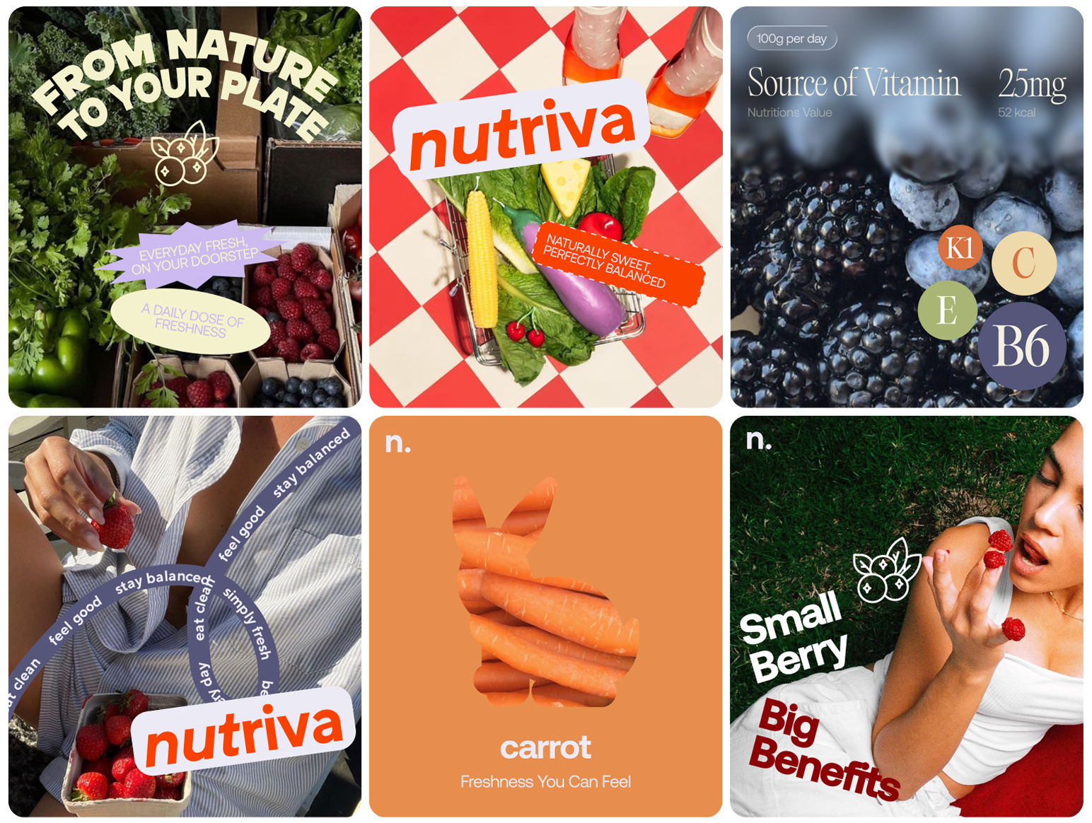 Branding for a global fresh produce company agriculture brand identity branding clean typography delivery eco food branding fresh produce freshness global brand identity logo design modern branding modern design natural colors organic organic brand packaging design startup visual system