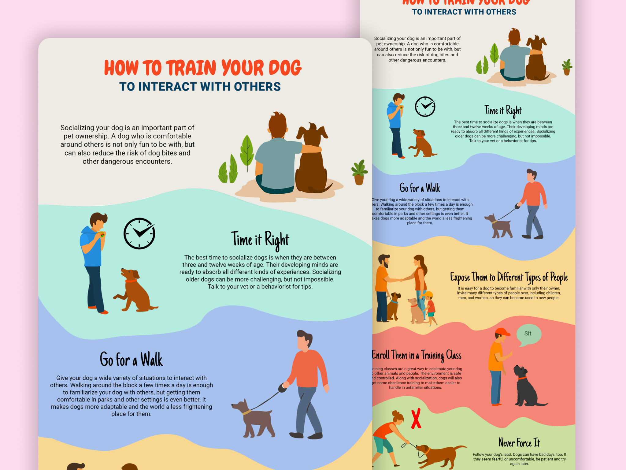 How to train your dog - Infographic