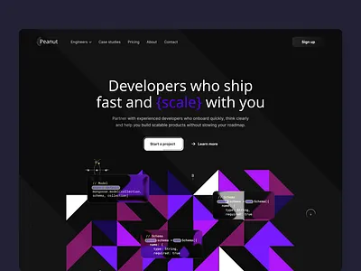 Peanut website design home layo page platform ui ux website