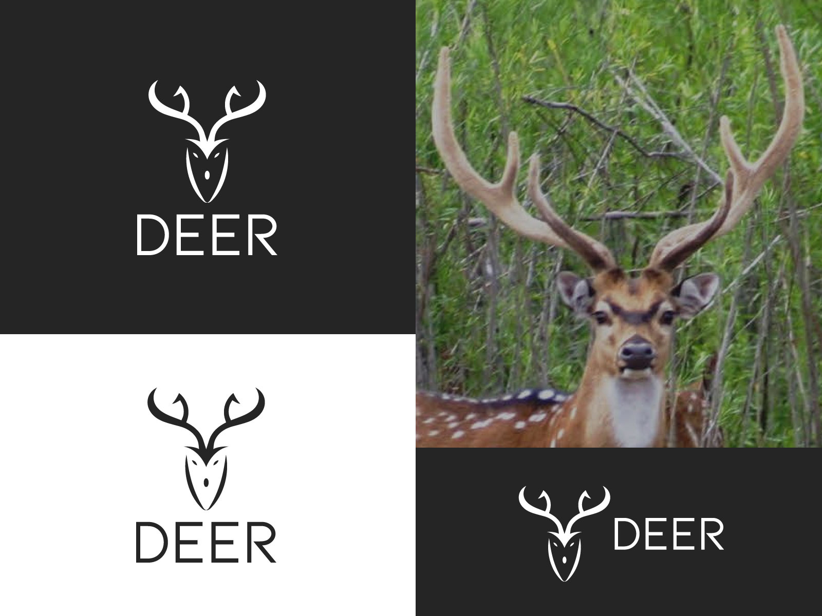 Deer Logo & icon brand