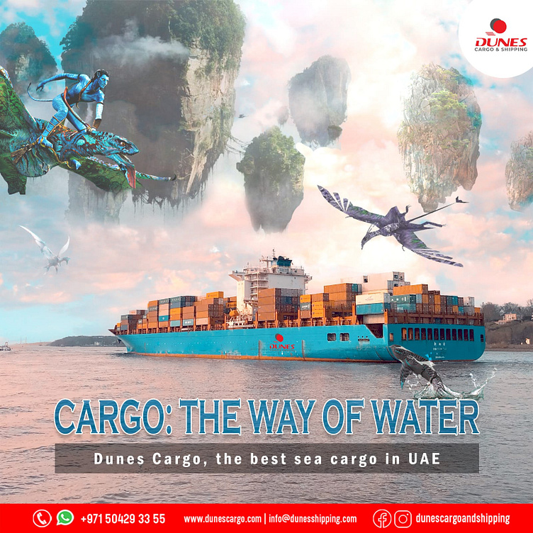 Jumbo Box Cargo Service in UAE Dunes Cargo & Shipping by dunescargo