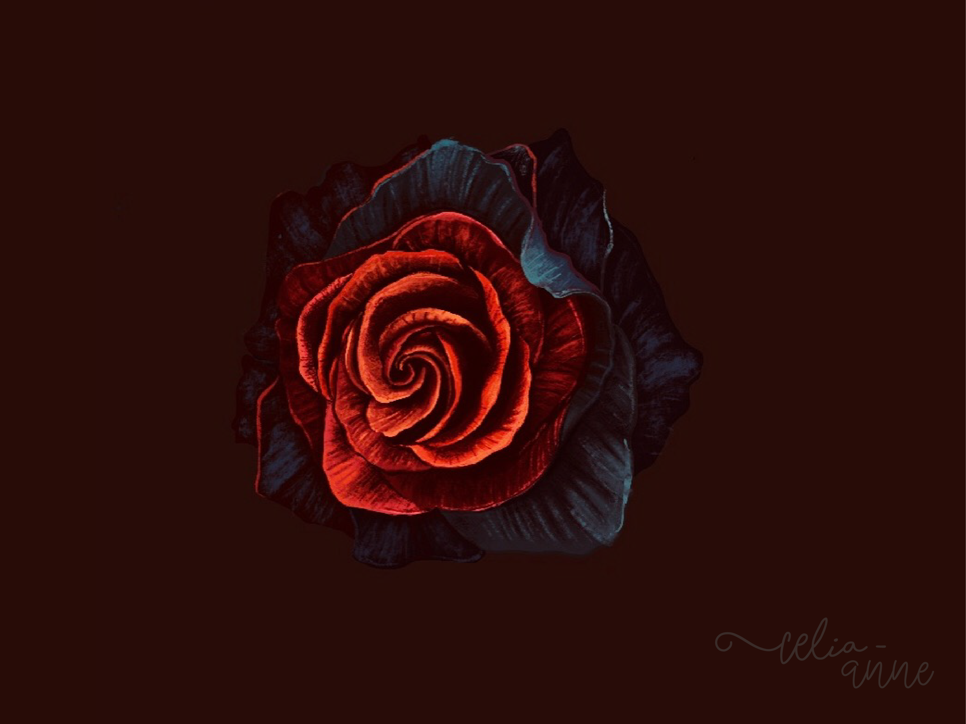 Digital Illustration - Two-tone Rose