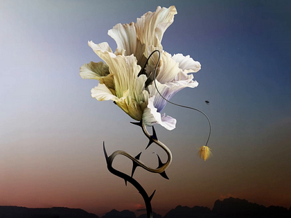 Flower 3d visualization