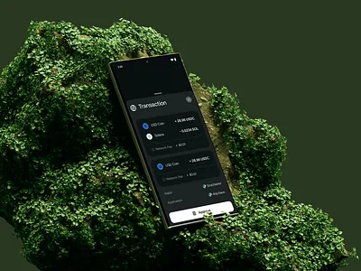 Solana Wallet — Transaction Details crypto product design ui