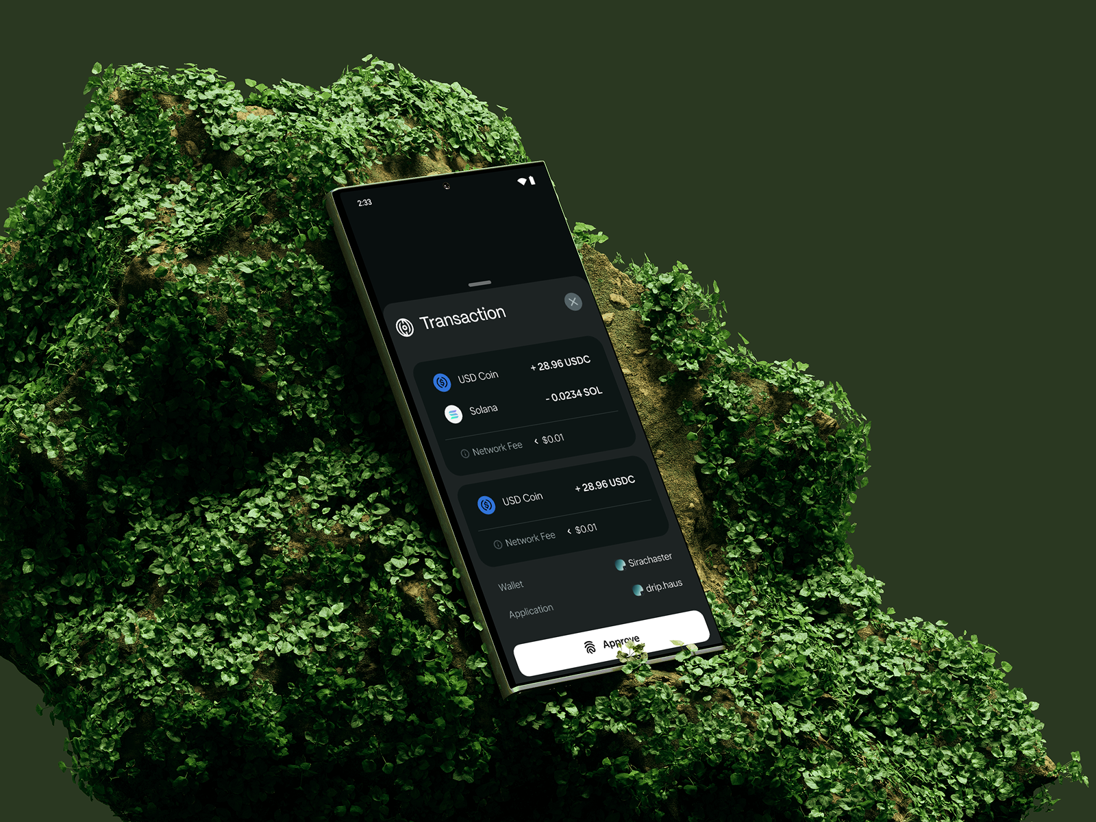 Example of Solana Wallet — Transaction Details
