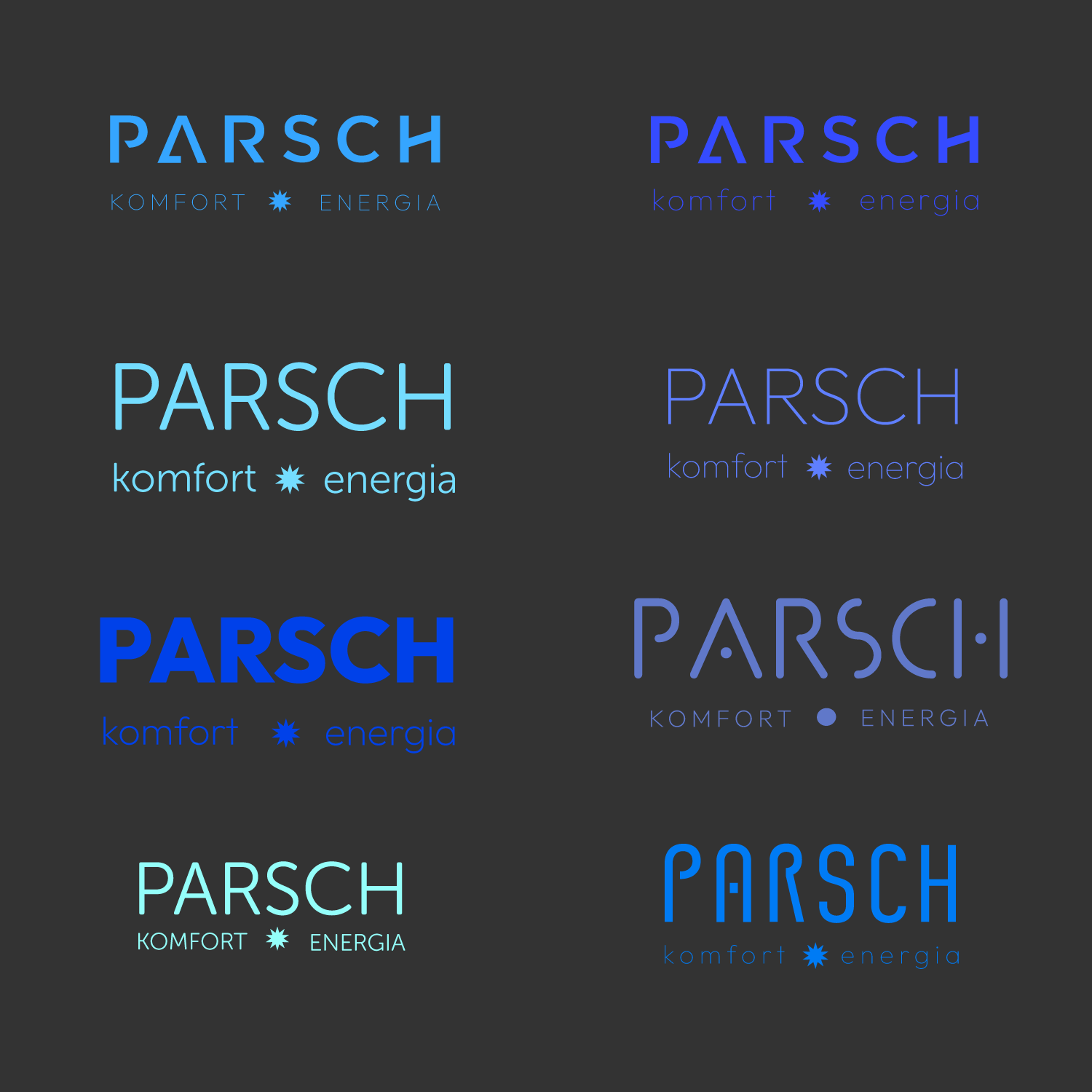 Logo design variations for a company