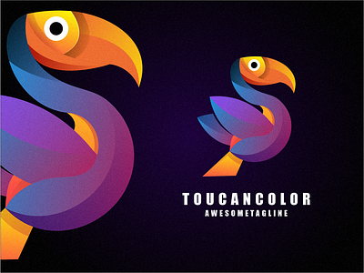 Toucan Color Logo 3d branding colorful design graphic design illustration logo toucan