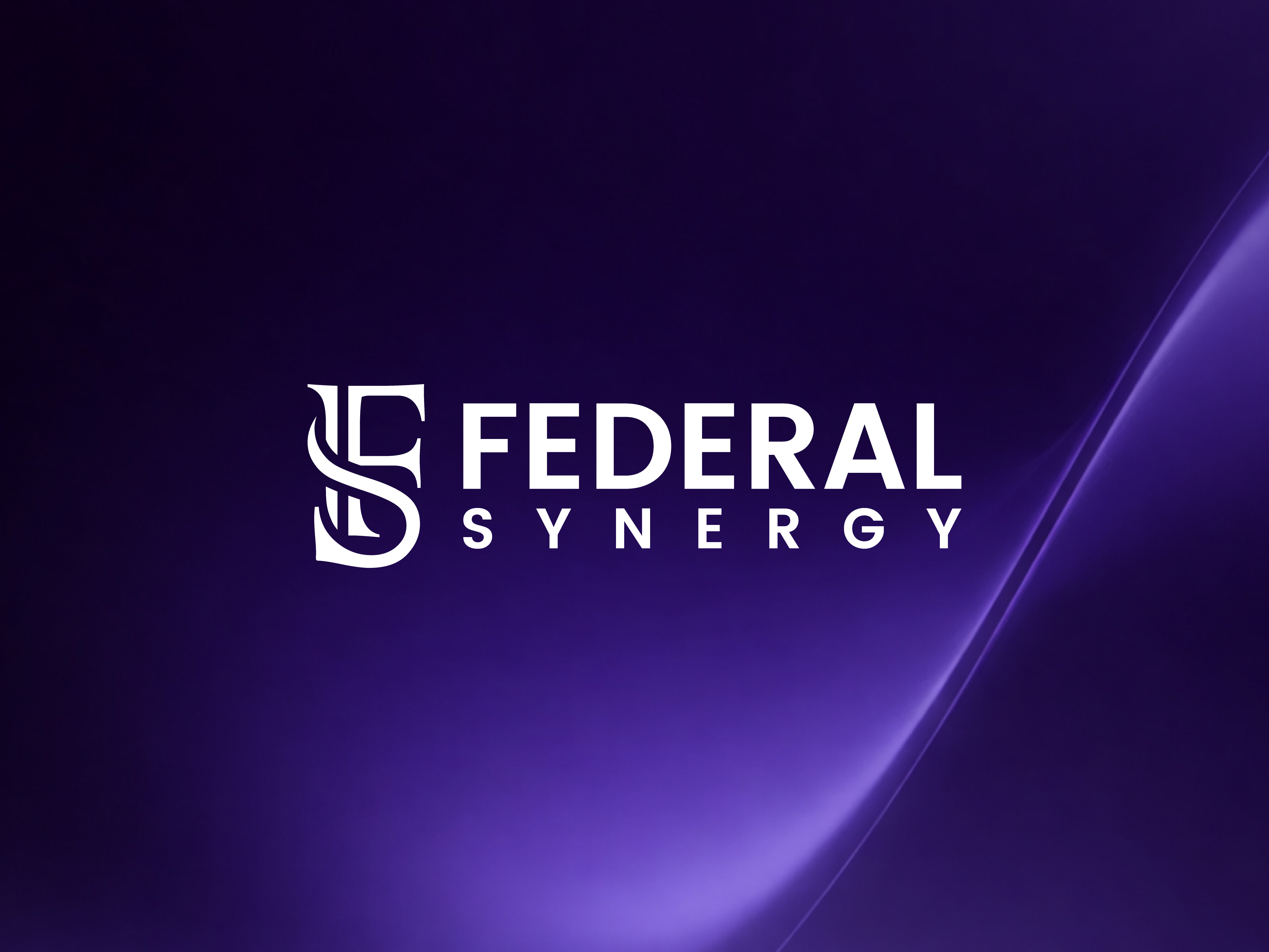 Federal Synergy: Logo Identity brand brand identity brand kit branding branding kit corporate branding design graphic design graphic designer icon logo logo design monogram typography vector