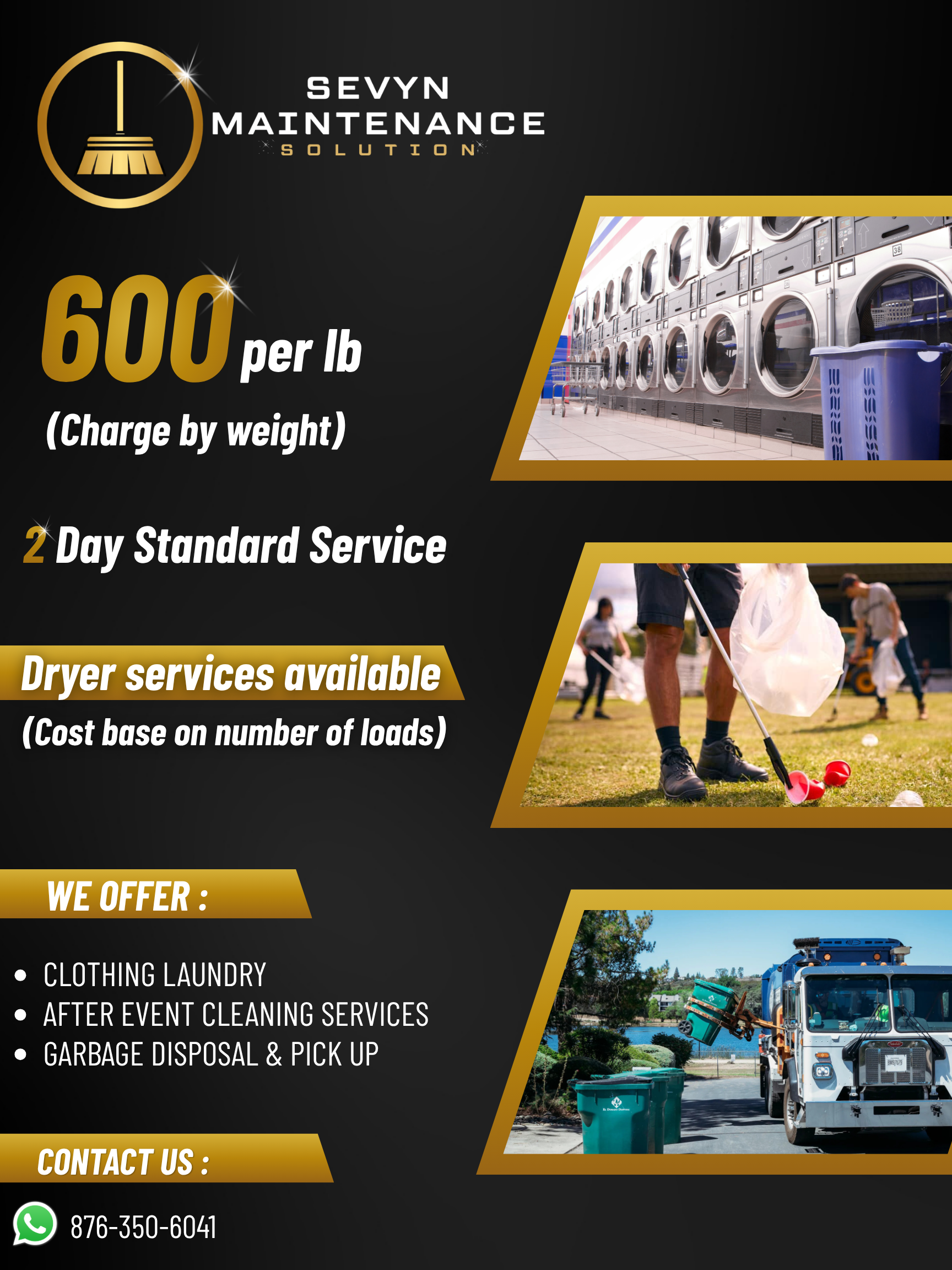 Example of Sevyn Maintenance Solution Flyer