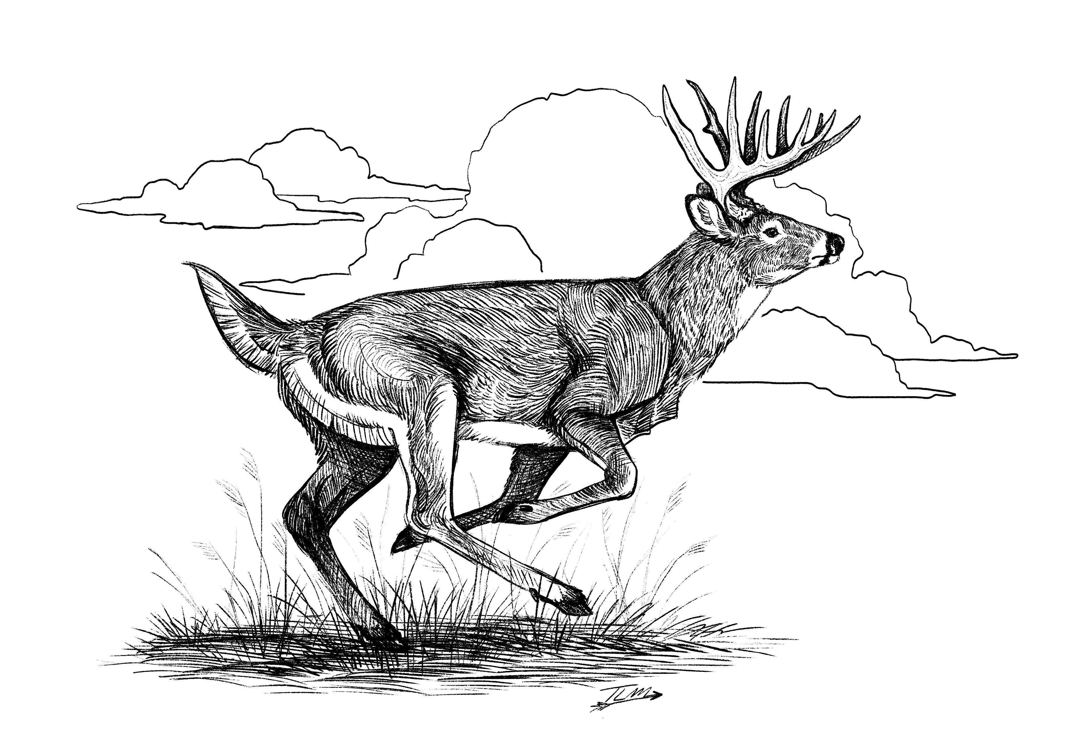 Line Art apparel design art design digital art graphic design illustration line art logo sketch