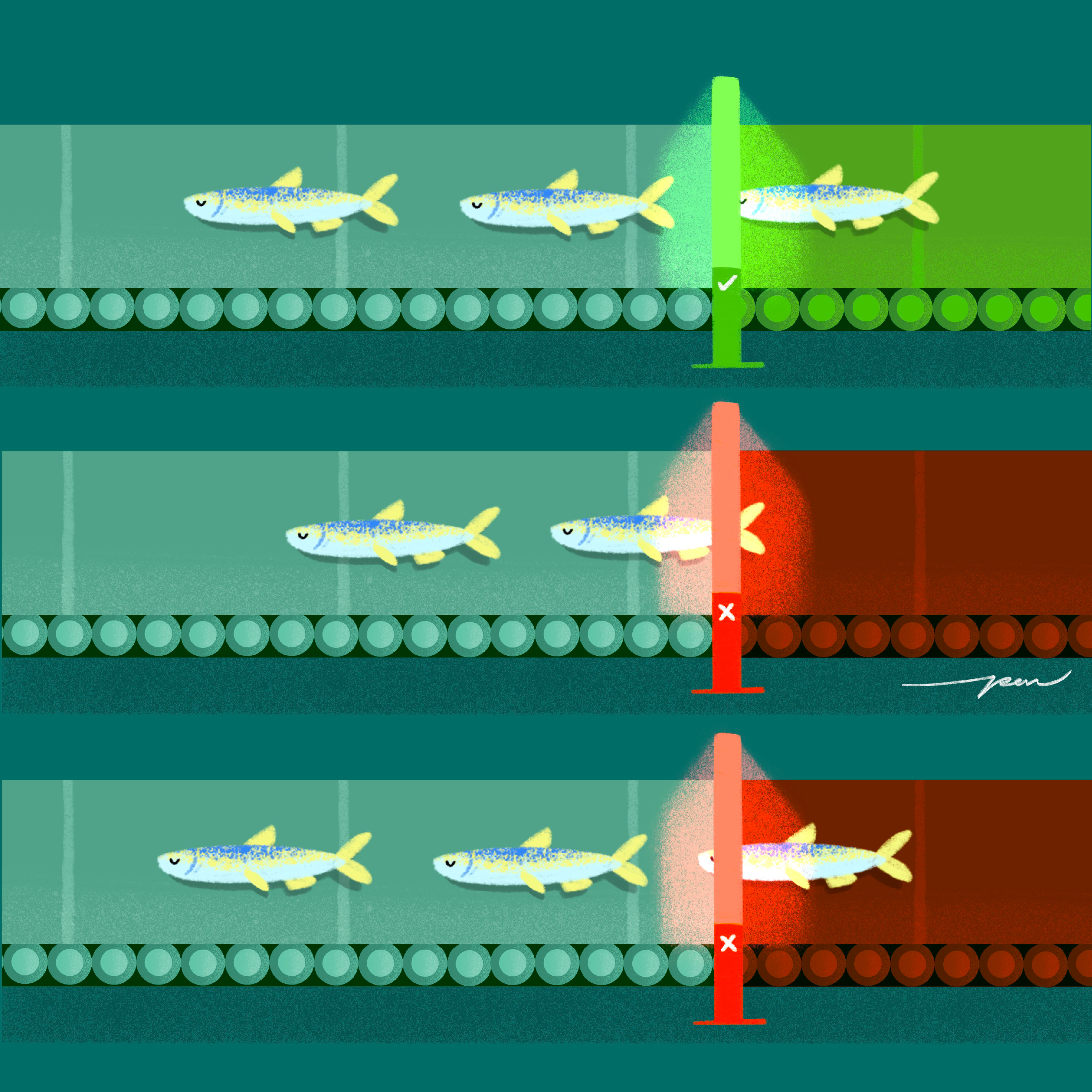 Fishing / Azul x Pon Cervantes band cartoon character color cute design fish fishing illustration