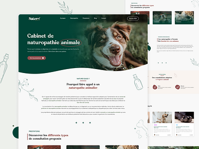 Naturo'Pattes - Animal Naturopathic Practice animals branding design graphic design homepage illustration logo medical practice medicinal nature naturpathic pets plants ui ux vector