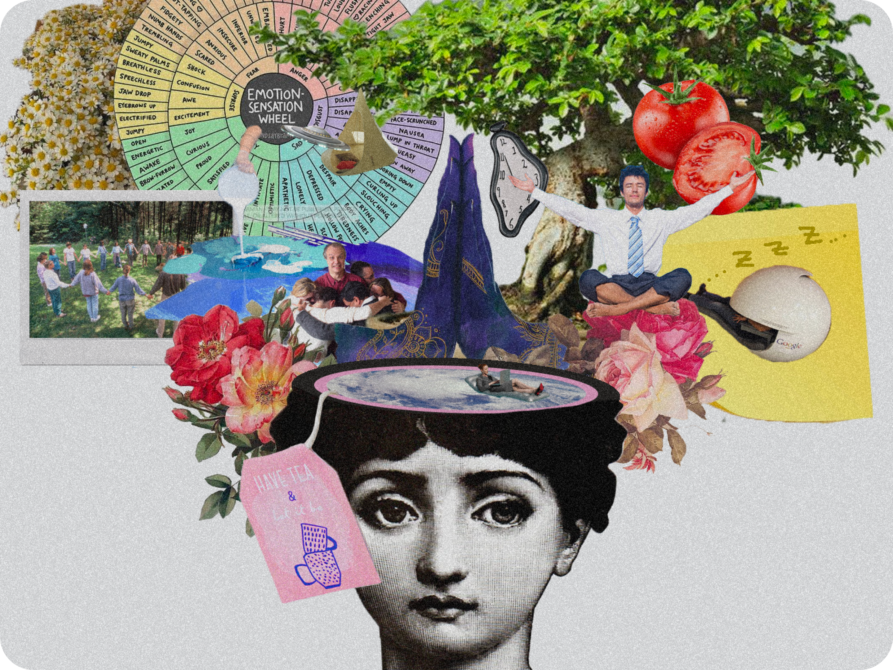 Visual Moodboard — Emotional Wellness Concept