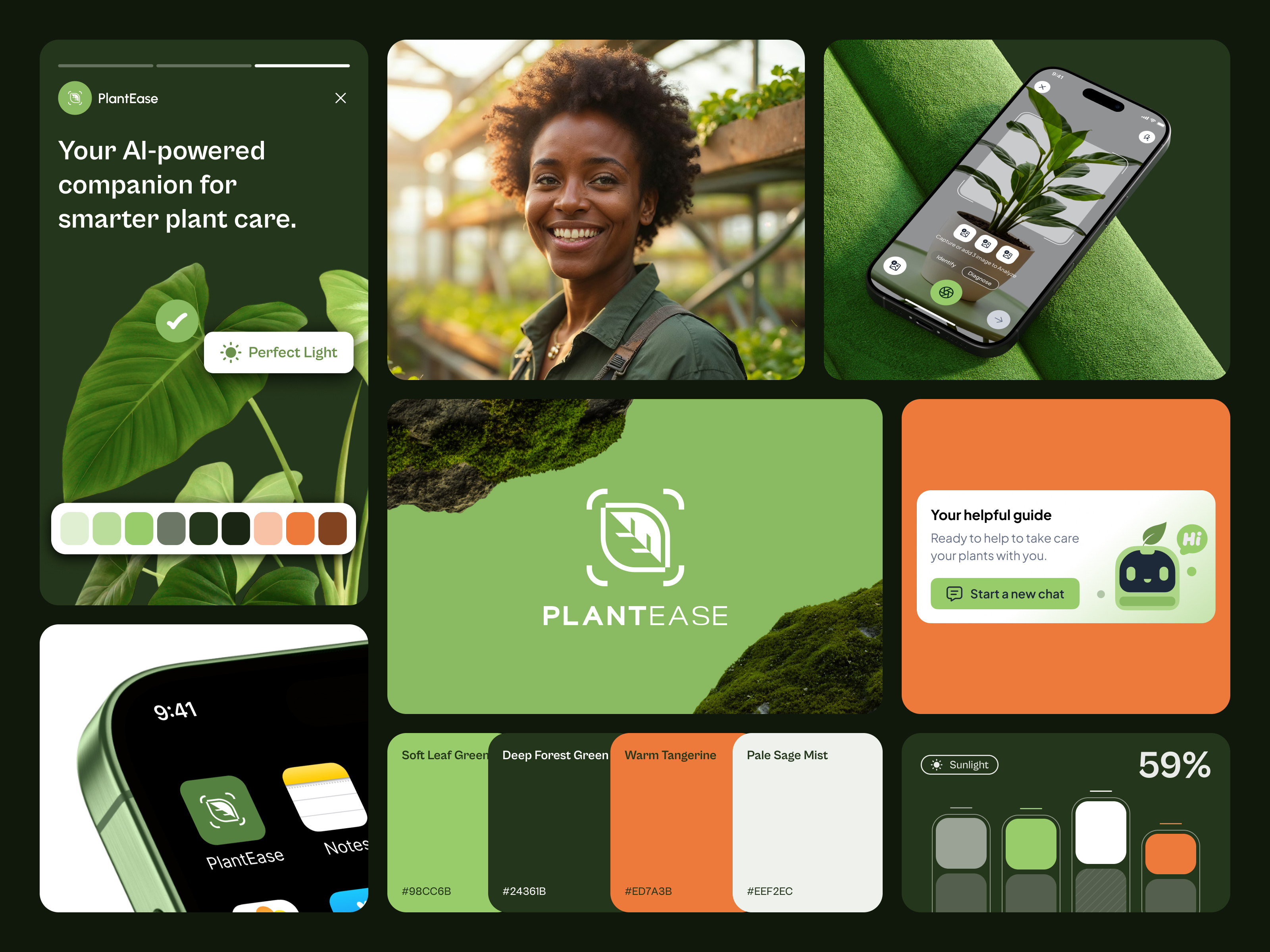 Example of Custom Webflow Website Development