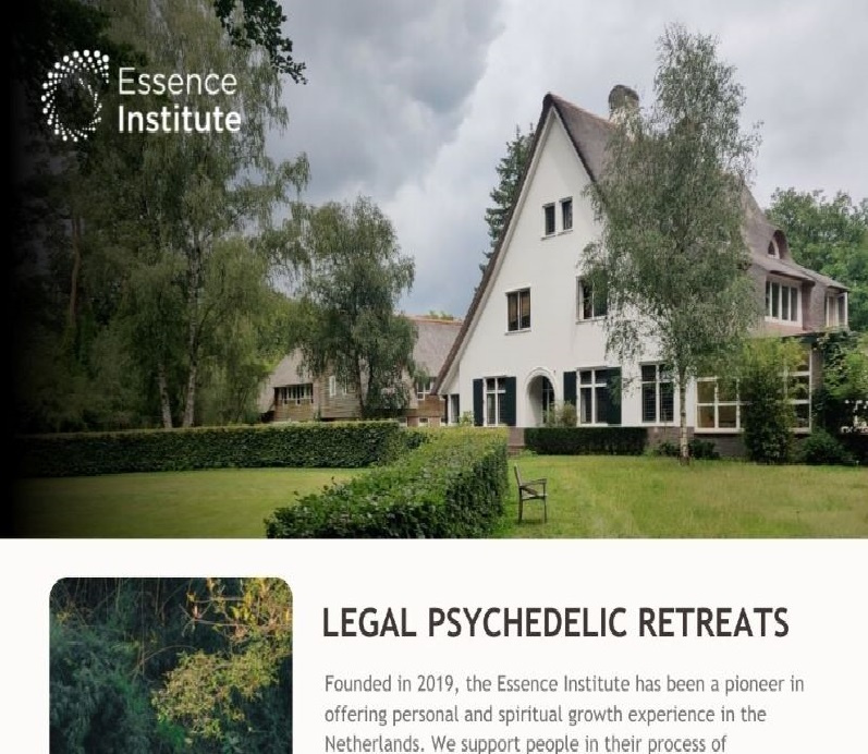 Newsletter — Essence Institute | Legal Psychedelic Retreats email email campaign email marketing email template graphic design mailchimp mailchimp template mindfulness newsletter newsletter design newsletter graphic newsletter layout newsletter template newsletters sign up subscribe typography ui ux wellness