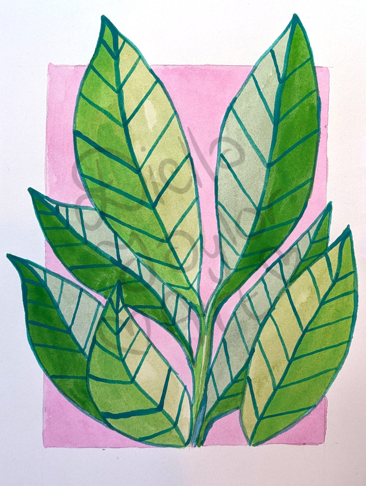 Botanical Cameo II gouache illustration watercolour