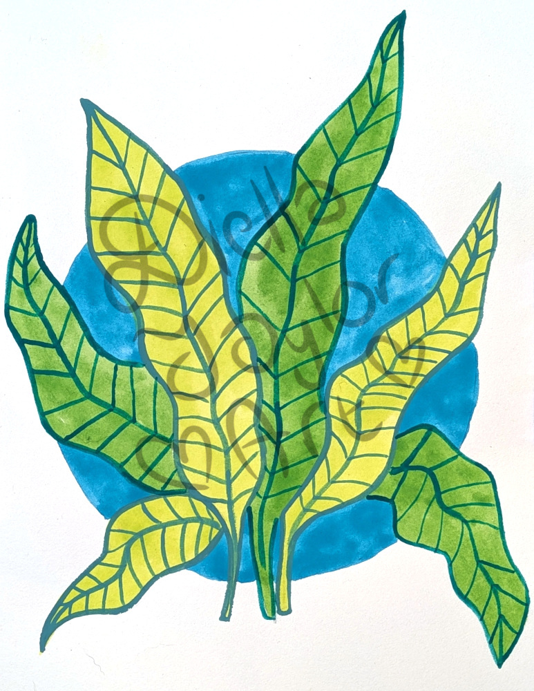 Botanical Cameo IV gouache illustration mixed medai painting watercolour