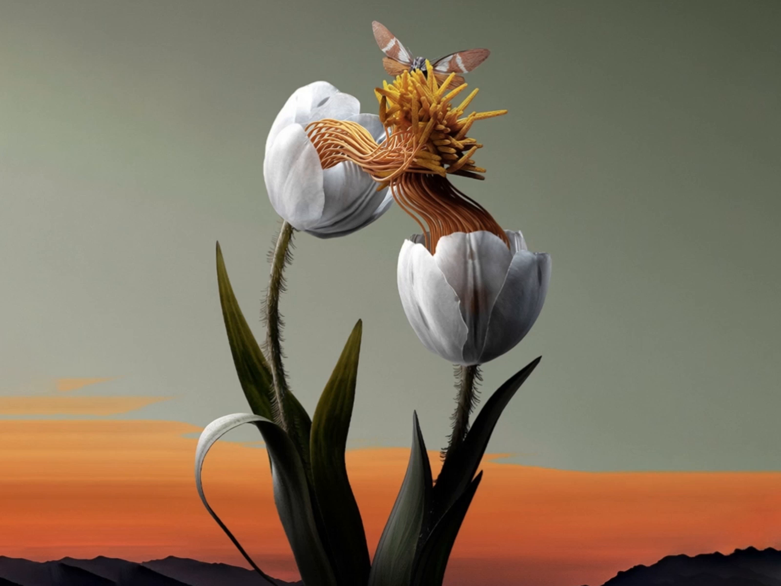 3D Tulips Rendering