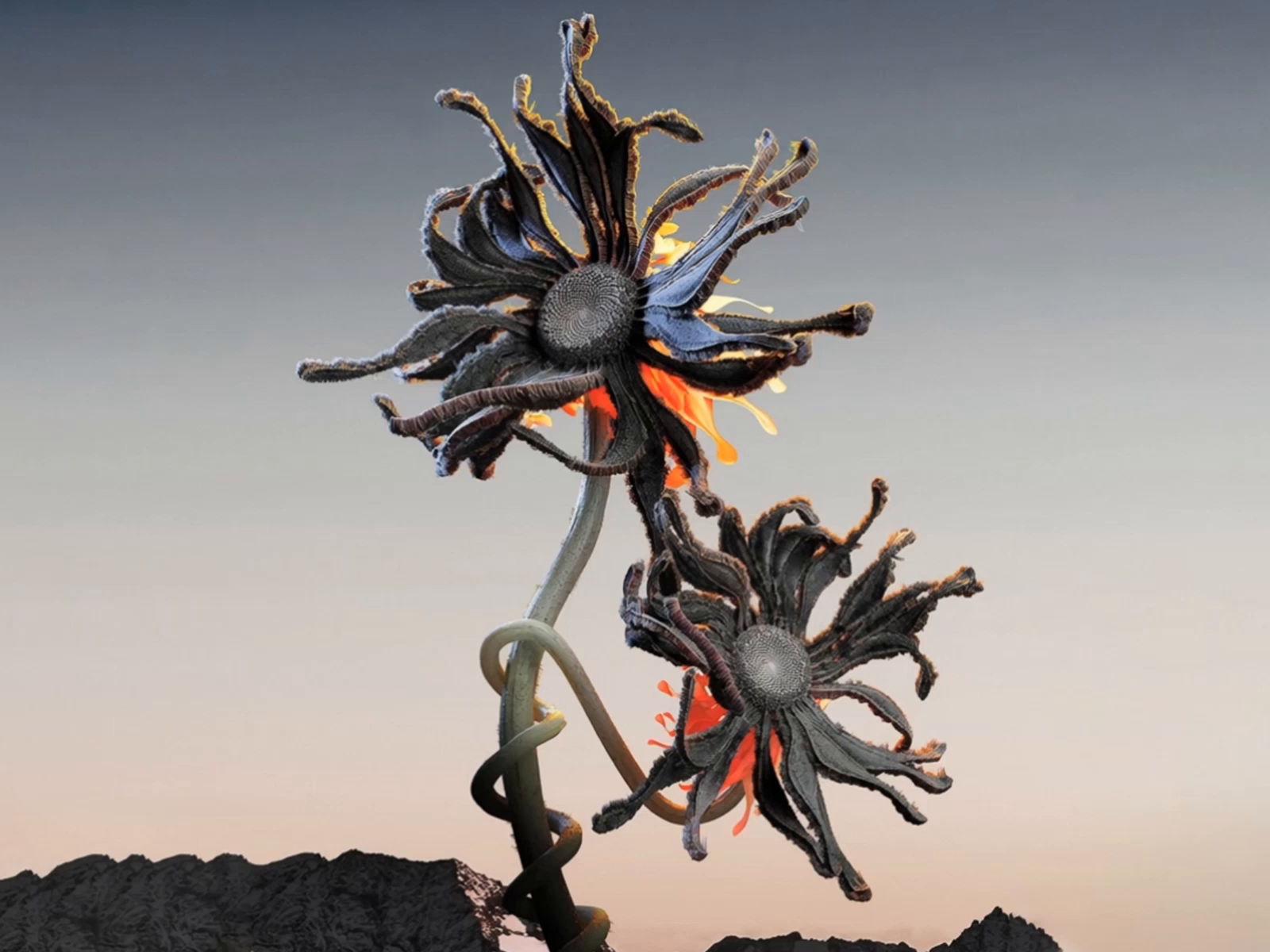Fire Flower Render
