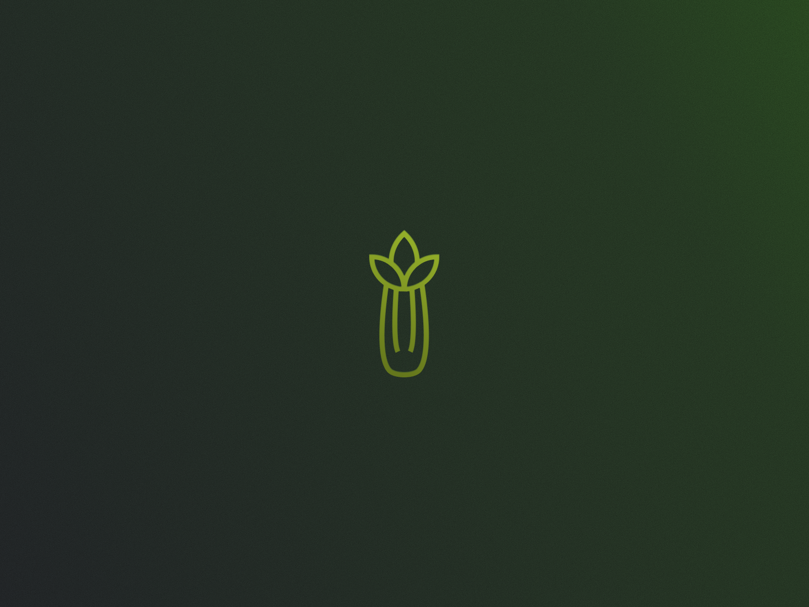 E-book book graphic design illustration typography