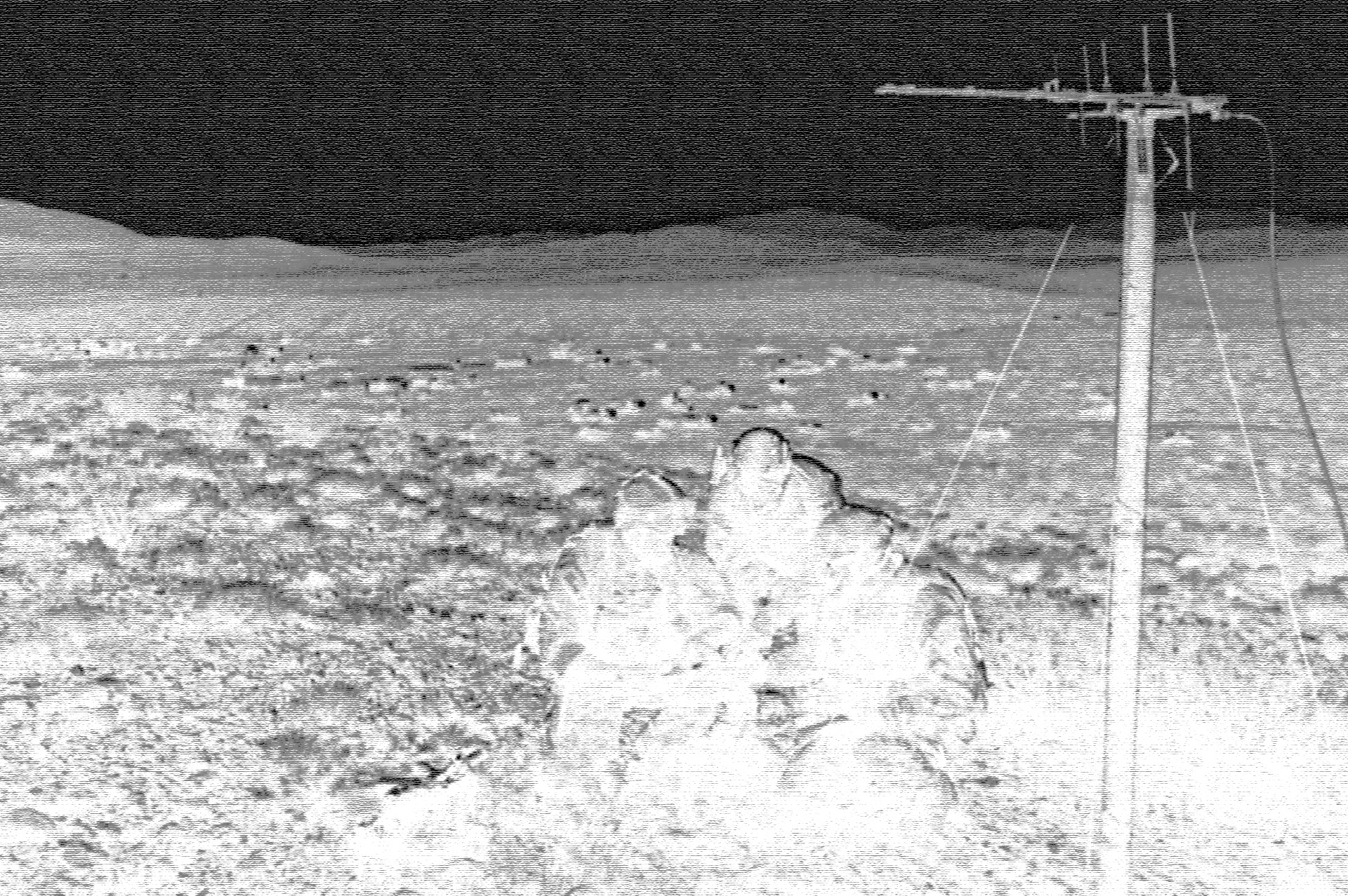 DISKRE Brand Identity advertising ballistics branding government logo military mission statement naming operations research telcomunnications