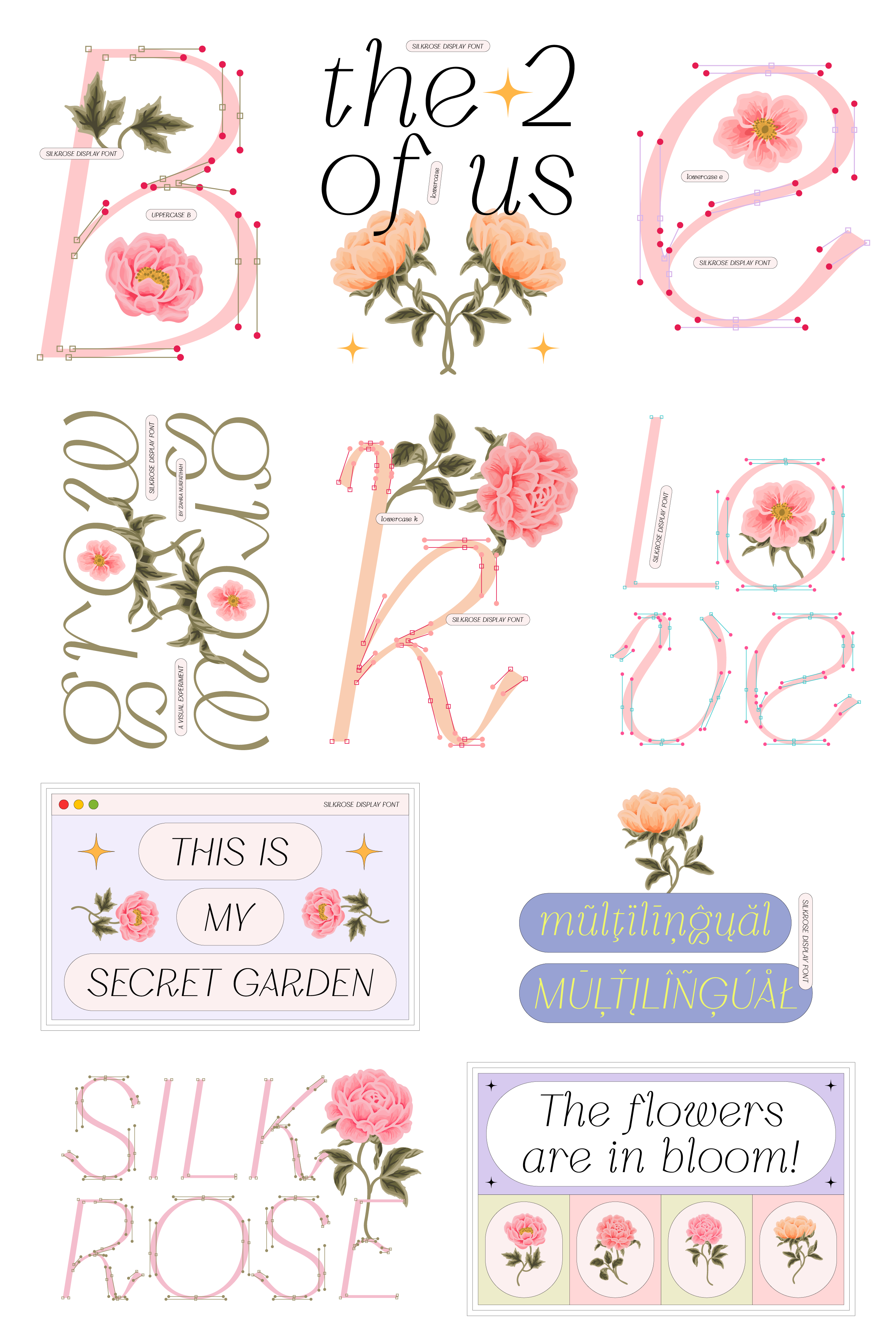 Silkrose - Delicate Italic Display Font anchor points beauty botanical brand identity branding display font display typeface feminine floral flower illustration font font design garden italic font logotype type design typeface typography vector wildflowers