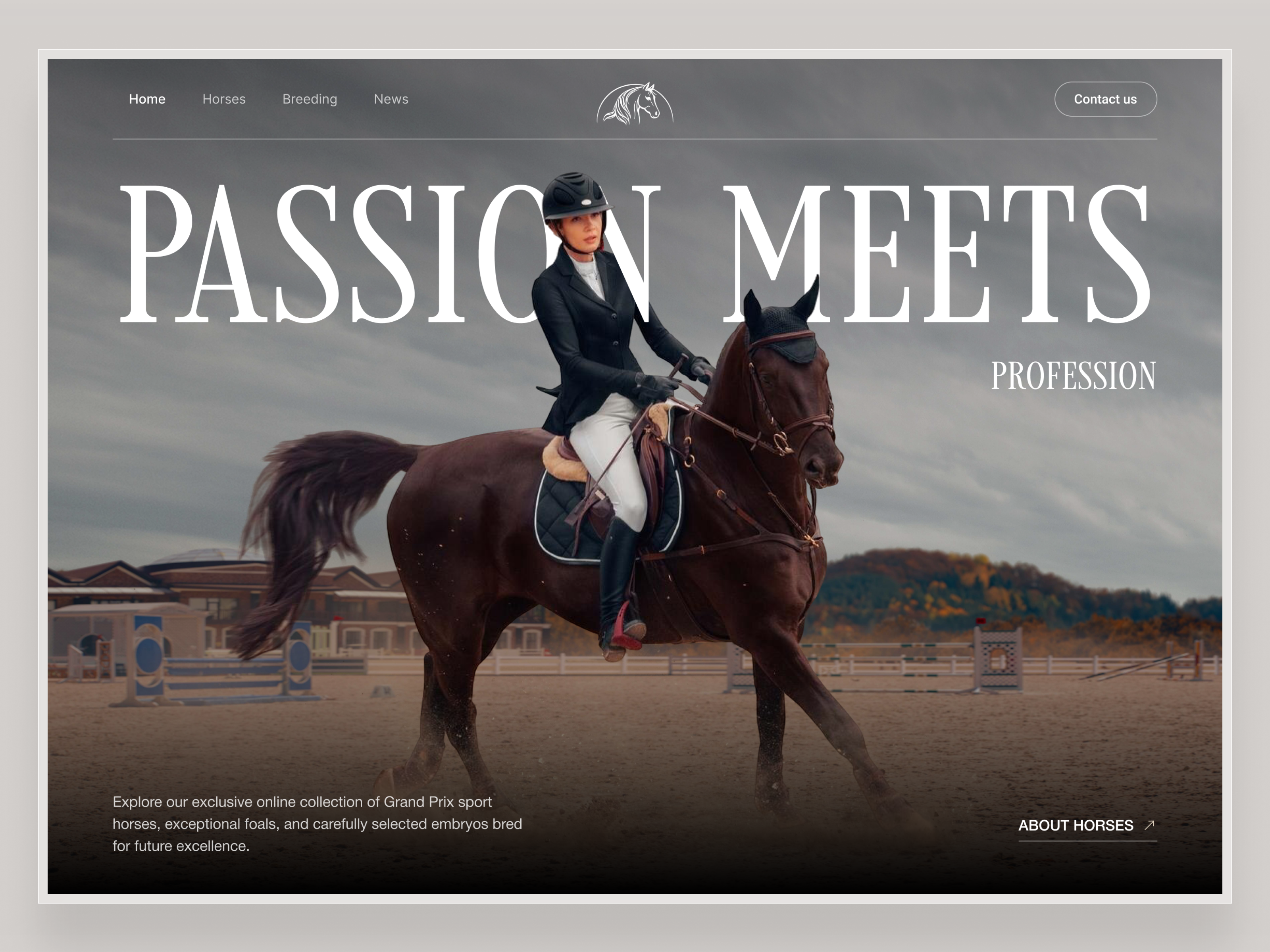 Example of Website And Development