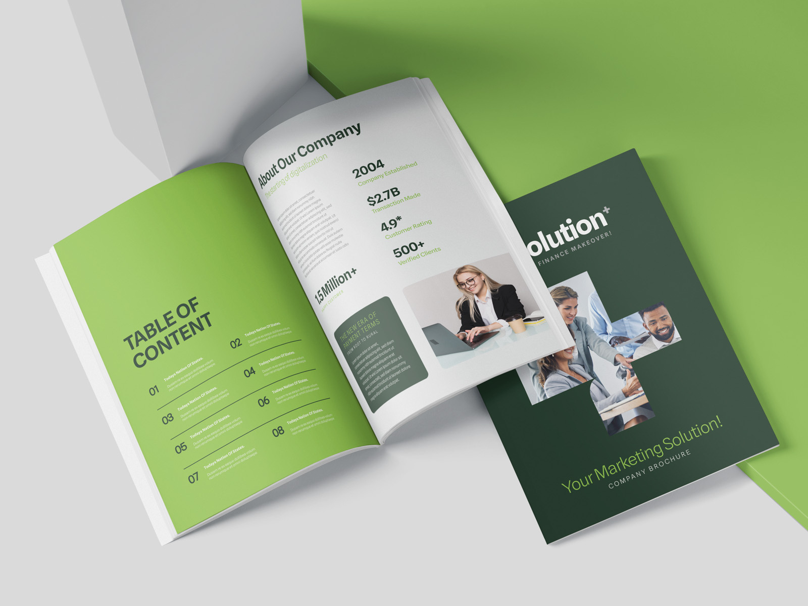 Example of Company Profile & Brochure Design