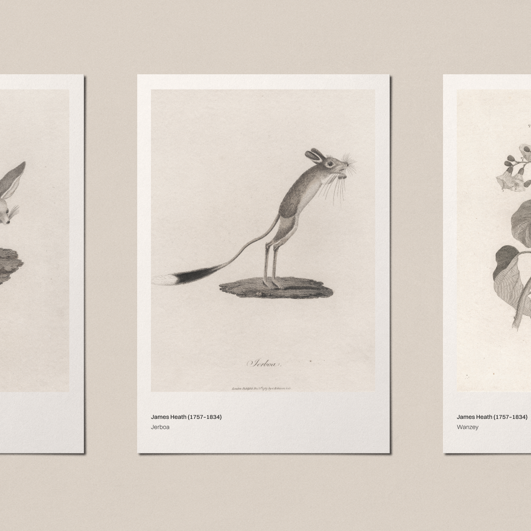The Gentle Wave — Postcard Mockups