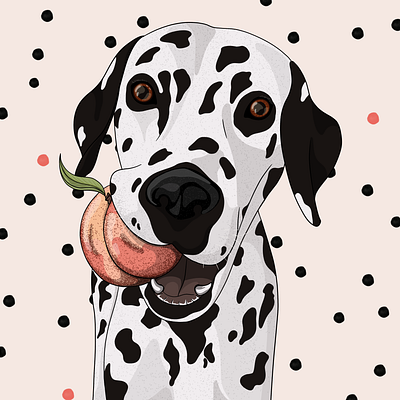 Dalmatian & peach dogillustration illustration petillustration petportrait