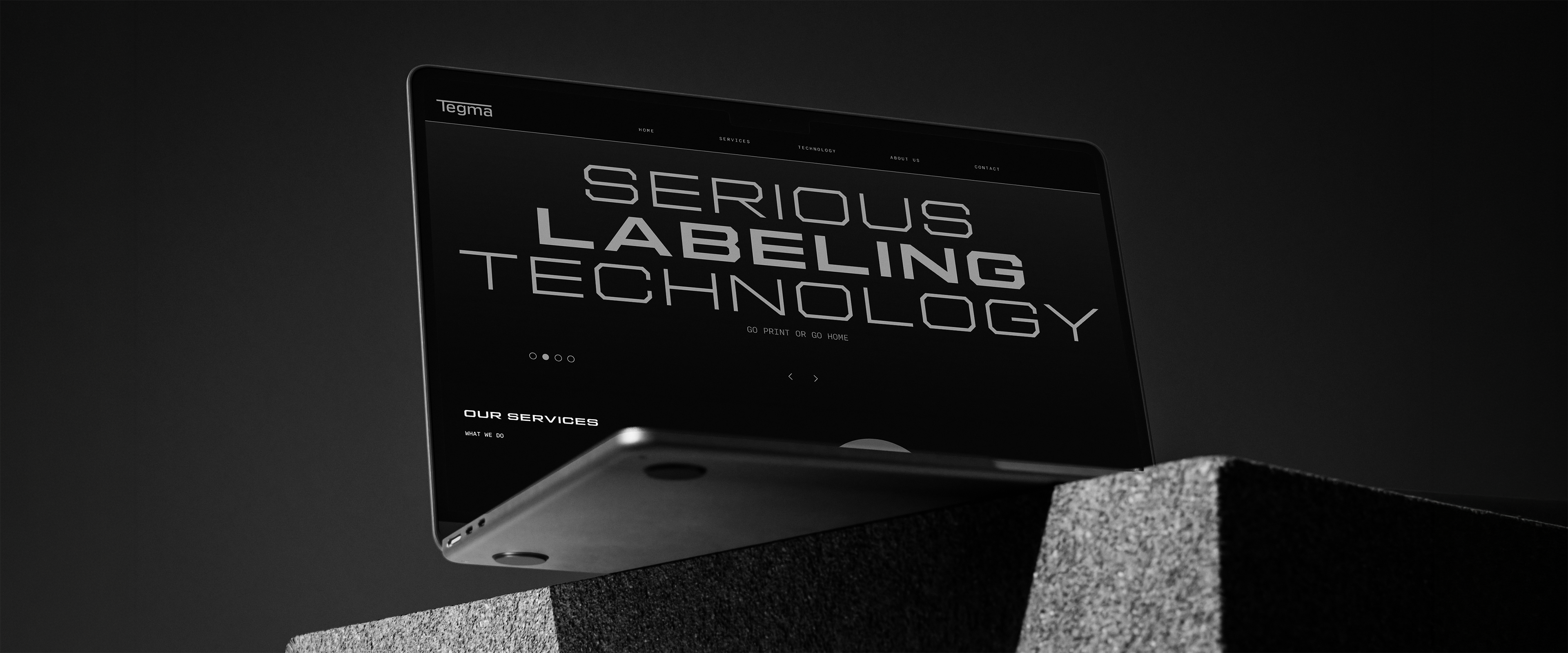 Tegma Brand Identity — Industry Web UI & Branding