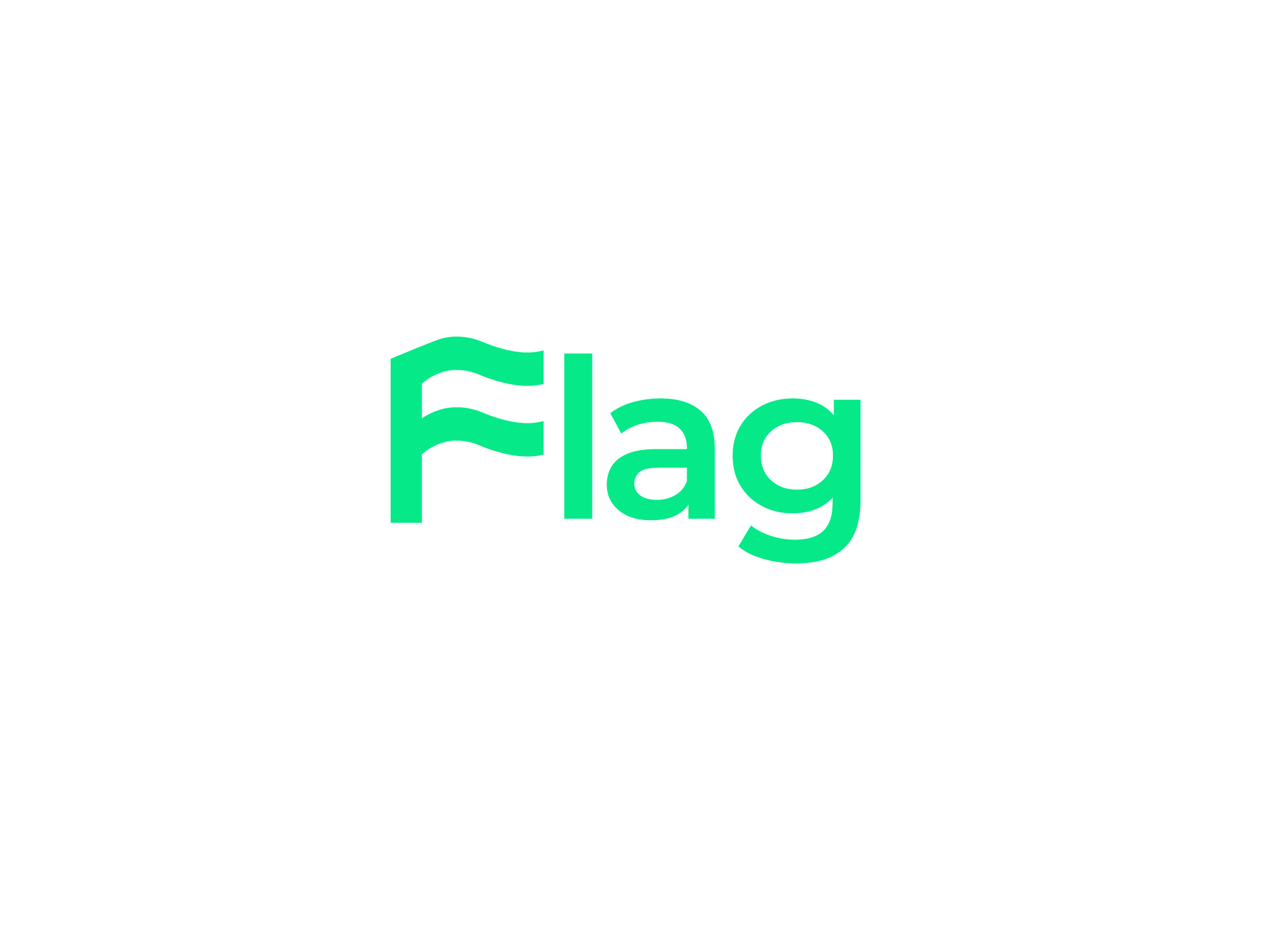 Flag logo