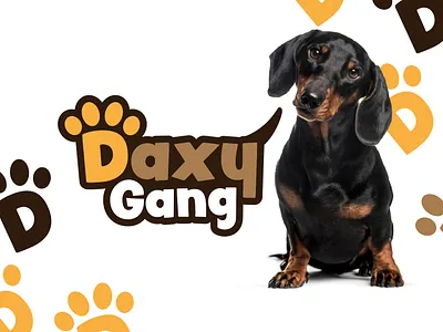 Daxy Gang | Branding 🐶 branding dogs graphic design logo design pets