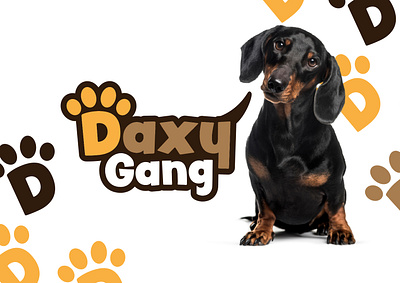 Daxy Gang | Branding 🐶 branding dogs graphic design logo design pets