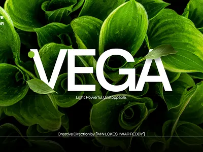 VEGA — Premium Indian Sports and Fitness Brand Direction 3d animation brand design branding creative creative direction designer graphic graphic design leader leadership logo motion graphics ui visual