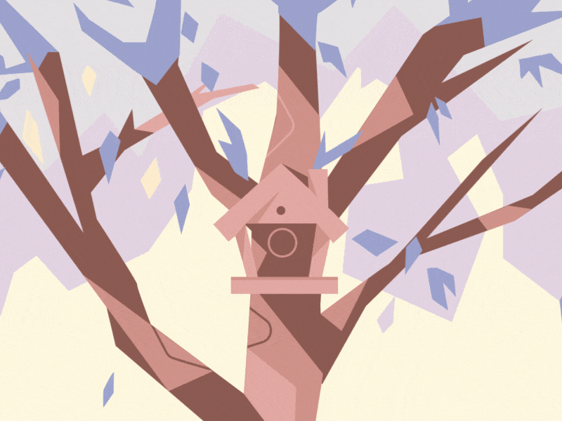 Robin animation bird illustration motion graphics purple robin tree tree house