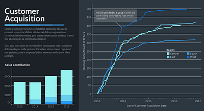 Customer Acquisition Dashboard dashboard data data visualization